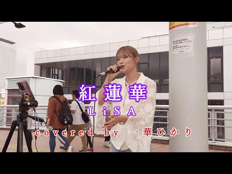 紅蓮華 / LiSA  covered by 《一華ひかり》※概要欄にツアー情報あり