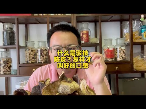 什么是驳枝陈皮？怎样才叫好的口感？现场讲解个人经验