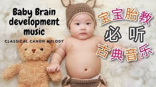 【胎教音乐 2020】胎教古典轻音乐 - 帮助宝宝头脑健康发展 Brain Development Music for Baby from Conception to Birth