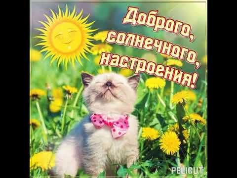 💐Хорошего настроения! #позитив #открытка #хорошеенастроение #добрыйдень #осень 🍂🍁