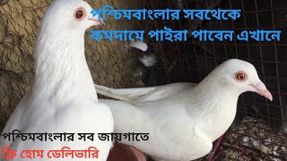 পশ্চিমবাংলার সবথেকে কমদামে পায়রা পাবেন এখানে । #MONDALPIGEONBURDWAN #MONDALPIGEONBURDWAN #burdwan