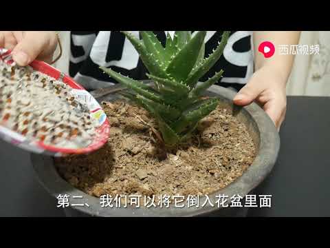 家里的蚊香灰别再倒了，它的这几个妙用，家家户户都需要，快看看