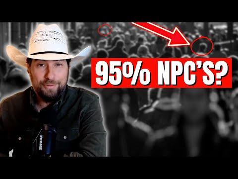 Are 95% Of The Population NPC's?