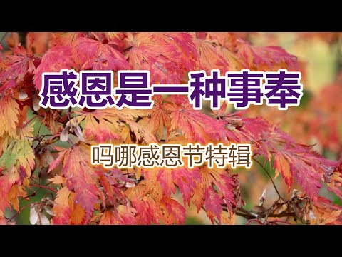 【吗哪感恩节特辑-感恩是一种事奉】(张路加牧师)