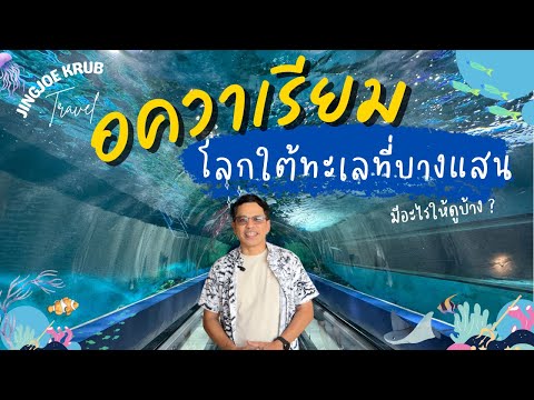 Bangsaen Aquarium  เปิดประสบการณ์โลกใต้ทะเล