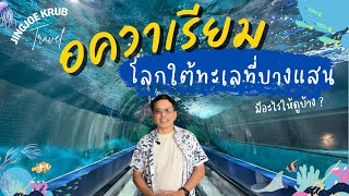 Bangsaen Aquarium  เปิดประสบการณ์โลกใต้ทะเล