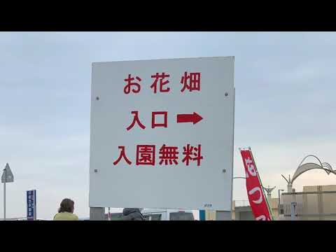 私が孤独でいる理由について（聞き流し用音声・ラジオ）