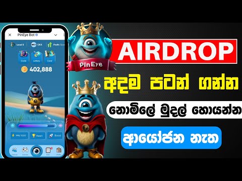 Pineye airdrop sinhala | Pin Eye telegram airdrop | telegram airdrop sinhala | Pin Eye airdrop