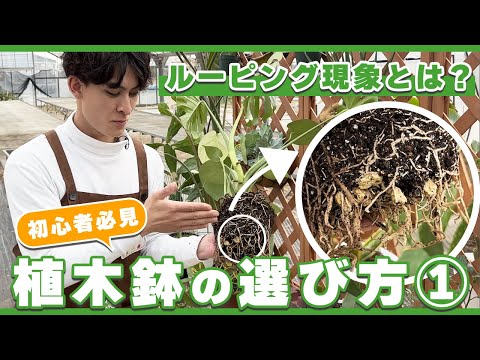 [この鉢だけで大丈夫！]　植物すぐに枯れてない！？オススメの鉢を紹介します！〜前編〜