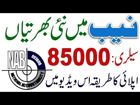 NAB Career Jobs 2024 - How to Online Apply for National Accountability Bureau Jobs - Latest NAB Jobs