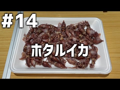 【作って食べる】＃１４「ホタルイカ」