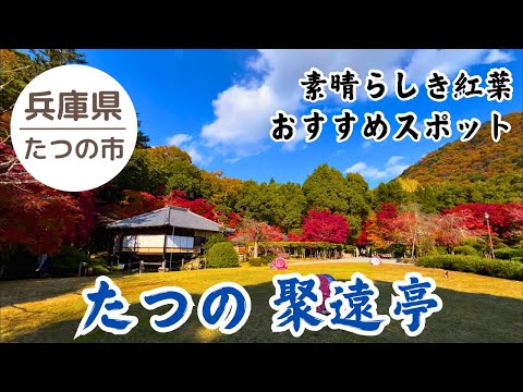 ２分で紅葉堪能 🍁2024 龍野の隠れ家 聚遠亭 2024.12.02