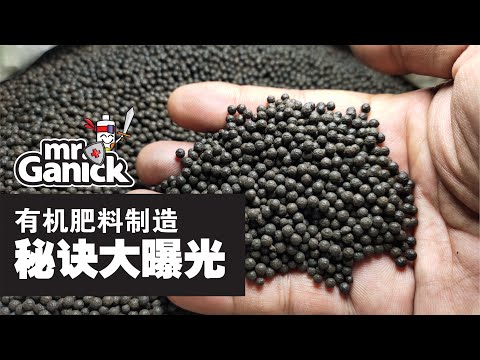 【劲爆大爆光】揭秘Mr. Ganick有机肥料制造秘诀，让您了解每一袋有机肥料的背后故事！| Baba | Mr Ganick 有机肥料