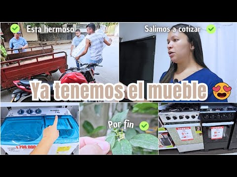 YA TENEMOS  EL MUEBLE ✨️ SALIMOS A COTIZAR 🏠 EL LIMON POR FIN FLORECIÓ 🌳