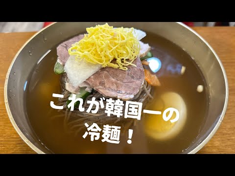 【NHKBS1の突撃ストリートシェフで紹介された韓国No.1の冷麺】#韓国 #韓国旅行 #ソウル