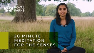 Sensory Exploration: 20-Minute Meditation for a Deepened Sense of Awareness