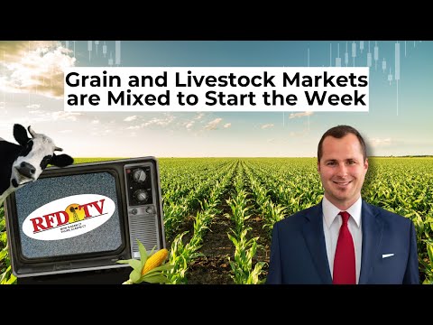 Grain and Livestock Markets are Mixed to Start the Week