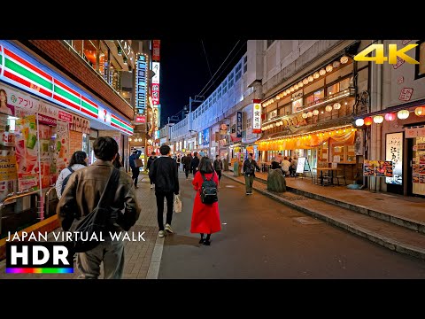 Japan - Tokyo Ueno Evening Walk • 4K HDR