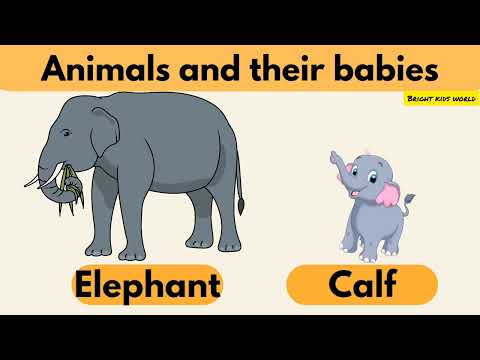 Animals and their young ones #animalskids #animalsandtheiryoungones #animalsandtheirbabies #animals