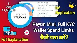 Paytm Wallet me Kitna Paisa Rakh Sakte Hai? | How to Paytm Mini, Full KYC Wallet Spend Limits🤔