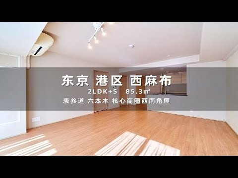 日本东京港区表参道六本木核心商圈优质住宅