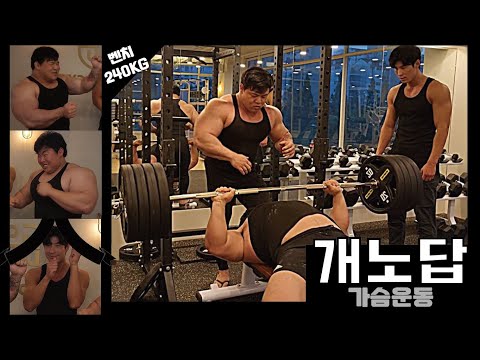 개노답 가슴 훈련 / 벤치프레스 240KG 성공!