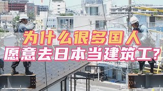 為什麽很多國人願意去日本當建築工？｜日本｜日本人｜日本生活｜日本移民｜日本移居