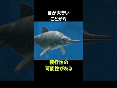 目がでかすぎる魚竜「オフタルモサウルス」の生態 #動物 #生き物 #shorts #雑学 #豆知識 #おもしろい #恐竜