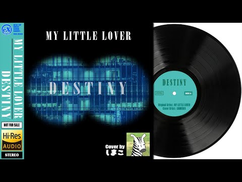 【DTM】 MY LITTLE LOVER 「 DESTINY ( Short ver. ) 」 Covered by しまこ