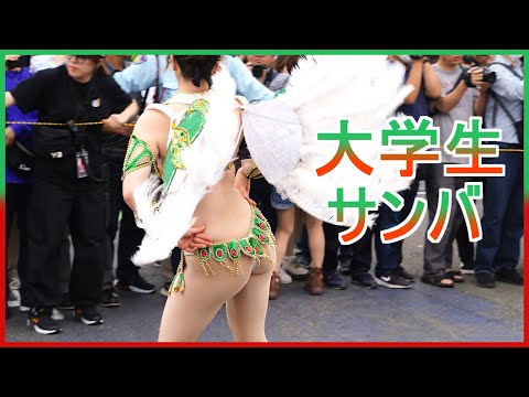 4K 可愛い女子大生 サンバカーニバル ウニアン 最高チーム 肉フェス お台場 2024 samba 삼바 桑巴舞