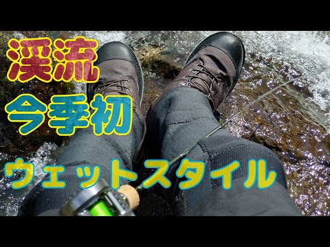 渓流アメゴ(アマゴ)  暑くなったのでウェットスタイル！