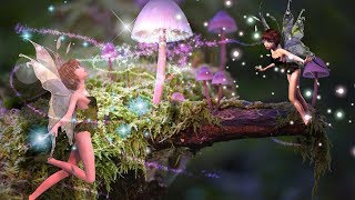 Fairy and Elemental World | in English