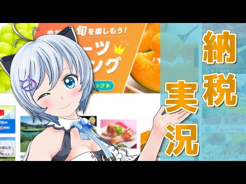 設定金額○46,000円でふるさと納税に挑戦！リターンズ