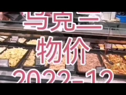 乌克兰物价2022-12