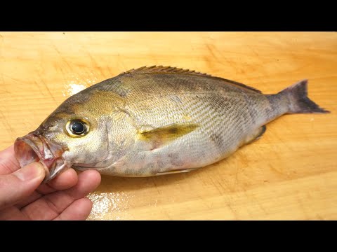 イサキの塩焼き用のさばき方と魚焼きグリルでの焼き方