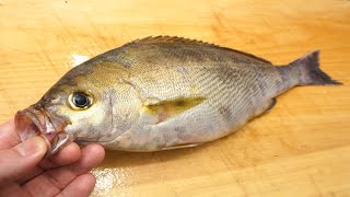 イサキの塩焼き用のさばき方と魚焼きグリルでの焼き方