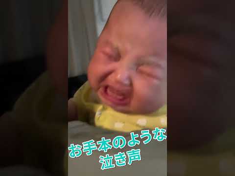 模範的な赤ちゃんの泣き方 #shorts  #赤ちゃん  #baby