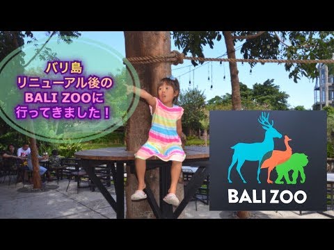 バリ島　動物園　リニューアルオープンしたBali ZOOに行ってみた。