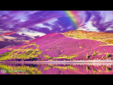 Powerful Morning Music 🌞 Relaxing Meditation Music For Stress Relief 528Hz