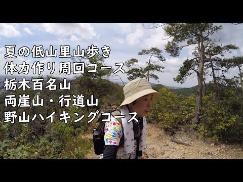 【おばさんソロ登山】栃木百名山 両崖山・行道山周回コース野山ハイキングコース下山