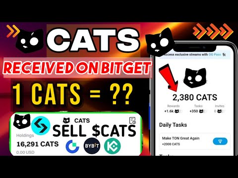 CATS RECEIVED ON BITGET | CATS | LISTENING | CATS MINING | @legal_crypto