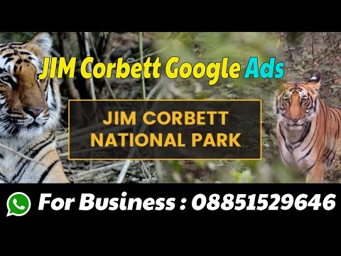 How To Create Jim Corbett National Park Safari Google Ads Services | Get Jim Corbett Safari Tips