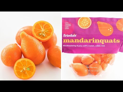 Mandarinquat - how to eat and taste test