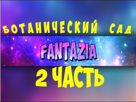 Видео обзор прогулки по ботаническому  саду. Продолжение. Видео от FANTAZIA