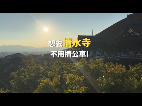 【京都的穴場路線？！】避開擁擠，舒適的京都之旅！