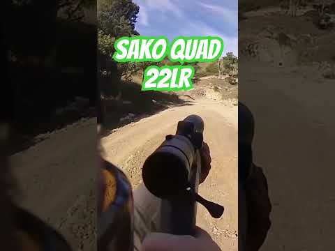 Sako Quad 22LR #ozziereviews #sako #22lr #plinking #shooting #rifle #gun #firearms #accuracy