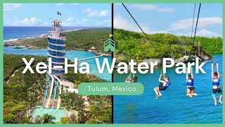 Xel-Ha Park Admission + Transportation + Unlimited Food & Drink