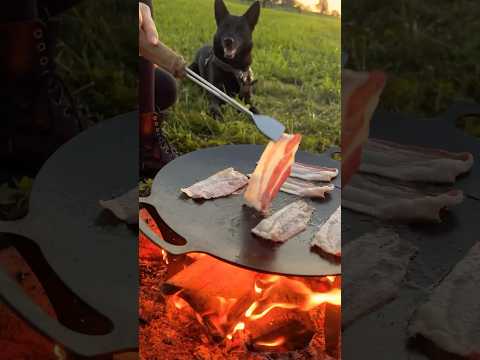 Campfire feast, BLT in my solo camp #solocamping #campfood #outdoorcooking #openfirecooking #vanlife