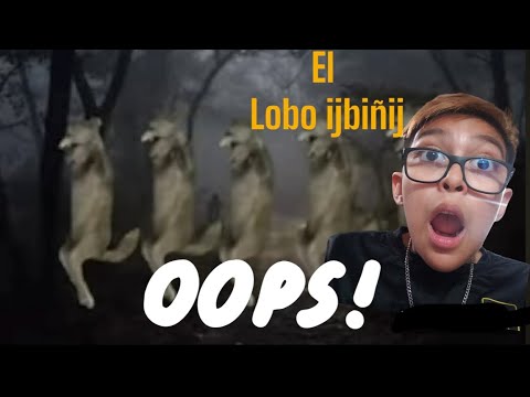 El lobo ijbiñij finds me (」ﾟﾛﾟ)｣ᴺᴼᴼᴼᴼ~