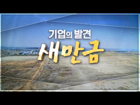 기업의 발견 in 새만금